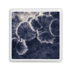 Tree Fungus Ii Memory Card Reader (square) by okhismakingart