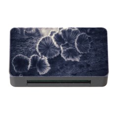 Tree Fungus Ii Memory Card Reader With Cf by okhismakingart