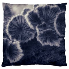 Tree Fungus Ii Large Cushion Case (one Side) by okhismakingart