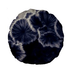 Tree Fungus Ii Standard 15  Premium Round Cushions by okhismakingart