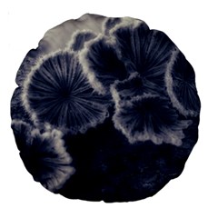 Tree Fungus Ii Large 18  Premium Round Cushions by okhismakingart