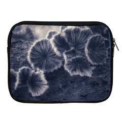 Tree Fungus Ii Apple Ipad 2/3/4 Zipper Cases by okhismakingart