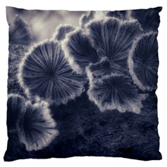 Tree Fungus Ii Standard Flano Cushion Case (two Sides)