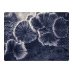 Tree Fungus II Double Sided Flano Blanket (Mini)  35 x27  Blanket Front