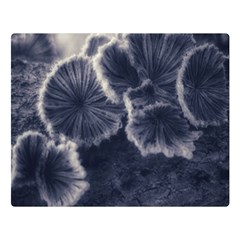 Tree Fungus Ii Double Sided Flano Blanket (large)  by okhismakingart