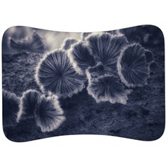 Tree Fungus Ii Velour Seat Head Rest Cushion by okhismakingart