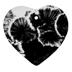 Tree Fungus High Contrast Ornament (heart) by okhismakingart