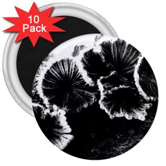 Tree Fungus High Contrast 3  Magnets (10 Pack) 