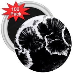 Tree Fungus High Contrast 3  Magnets (100 Pack) by okhismakingart