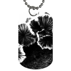 Tree Fungus High Contrast Dog Tag (one Side) by okhismakingart