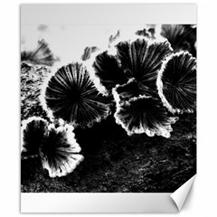 Tree Fungus High Contrast Canvas 8  X 10  by okhismakingart