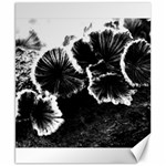 Tree Fungus High Contrast Canvas 8  x 10  8.15 x9.66  Canvas - 1