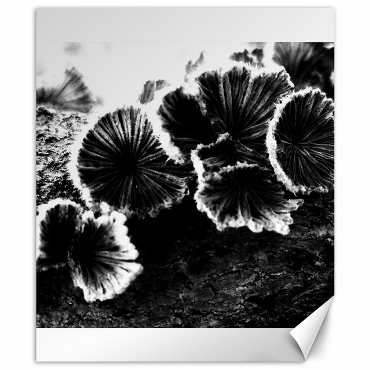 Tree Fungus High Contrast Canvas 8  x 10 