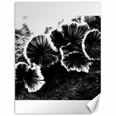 Tree Fungus High Contrast Canvas 18  X 24  by okhismakingart