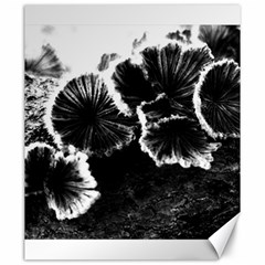 Tree Fungus High Contrast Canvas 20  X 24  by okhismakingart