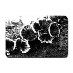 Tree Fungus High Contrast Small Doormat  by okhismakingart