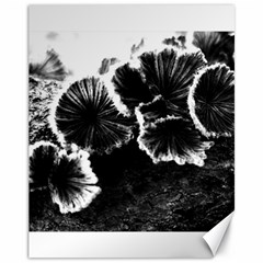 Tree Fungus High Contrast Canvas 11  X 14  by okhismakingart