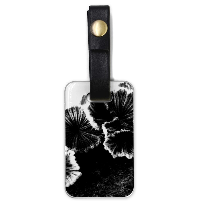 Tree Fungus High Contrast Luggage Tags (One Side) 