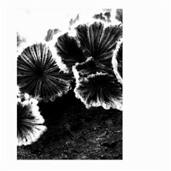 Tree Fungus High Contrast Large Garden Flag (two Sides) by okhismakingart