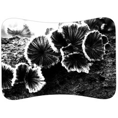 Tree Fungus High Contrast Velour Seat Head Rest Cushion by okhismakingart