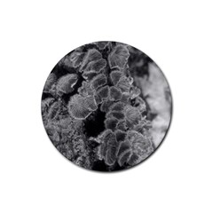 Tree Fungus Branch Vertical Black And White Rubber Coaster (round)  by okhismakingart