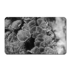 Tree Fungus Branch Vertical Black And White Magnet (rectangular) by okhismakingart