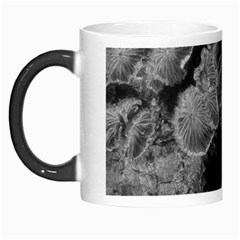 Tree Fungus Branch Vertical Black And White Morph Mugs by okhismakingart