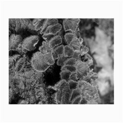 Tree Fungus Branch Vertical Black And White Small Glasses Cloth by okhismakingart