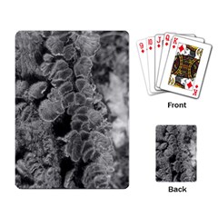 Tree Fungus Branch Vertical Black And White Playing Cards Single Design by okhismakingart