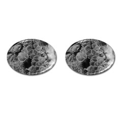 Tree Fungus Branch Vertical Black And White Cufflinks (oval) by okhismakingart