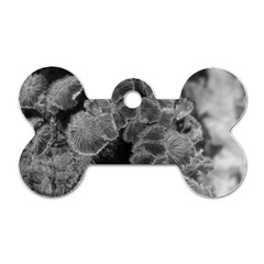 Tree Fungus Branch Vertical Black And White Dog Tag Bone (one Side) by okhismakingart