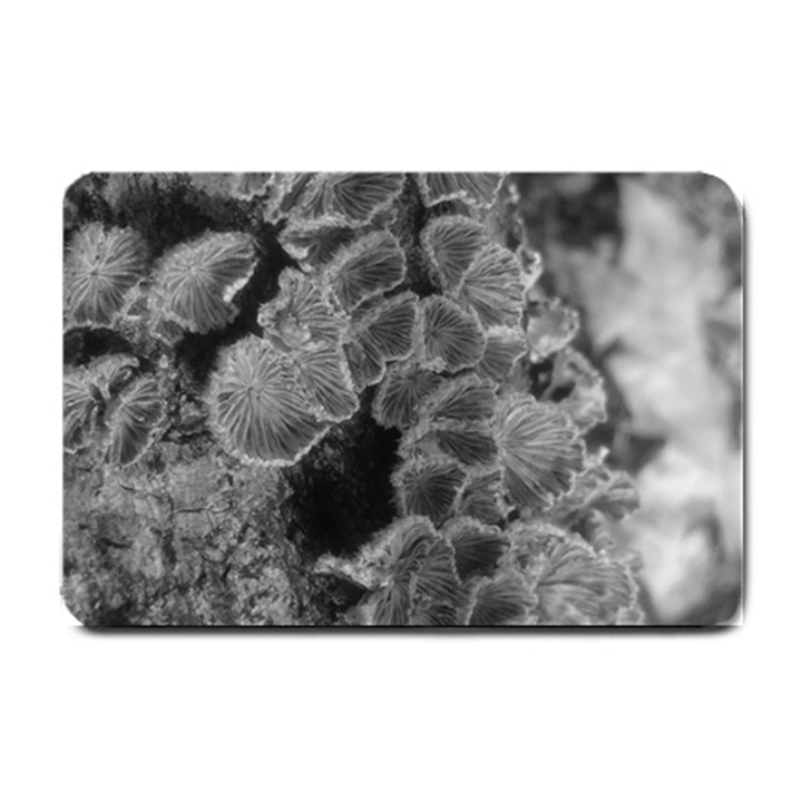 Tree Fungus Branch Vertical Black and White Small Doormat 