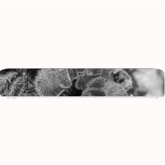 Tree Fungus Branch Vertical Black And White Small Bar Mats by okhismakingart