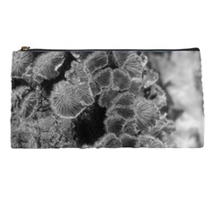 Tree Fungus Branch Vertical Black And White Pencil Cases by okhismakingart