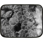 Tree Fungus Branch Vertical Black and White Double Sided Fleece Blanket (Mini)  35 x27  Blanket Front