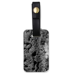 Tree Fungus Branch Vertical Black And White Luggage Tags (one Side)  by okhismakingart