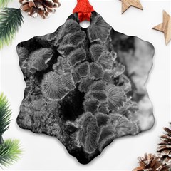 Tree Fungus Branch Vertical Black And White Ornament (snowflake) by okhismakingart