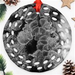 Tree Fungus Branch Vertical Black and White Round Filigree Ornament (Two Sides) Front