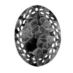 Tree Fungus Branch Vertical Black And White Ornament (oval Filigree) by okhismakingart