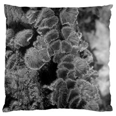 Tree Fungus Branch Vertical Black And White Large Cushion Case (two Sides) by okhismakingart