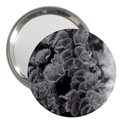 Tree Fungus Branch Vertical Black And White 3  Handbag Mirrors by okhismakingart