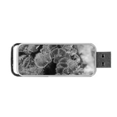 Tree Fungus Branch Vertical Black And White Portable Usb Flash (one Side) by okhismakingart