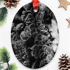 Tree Fungus Branch Vertical High Contrast Ornament (oval) by okhismakingart