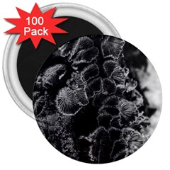 Tree Fungus Branch Vertical High Contrast 3  Magnets (100 Pack) by okhismakingart