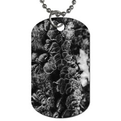 Tree Fungus Branch Vertical High Contrast Dog Tag (one Side) by okhismakingart