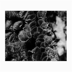 Tree Fungus Branch Vertical High Contrast Small Glasses Cloth by okhismakingart