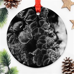 Tree Fungus Branch Vertical High Contrast Round Ornament (two Sides) by okhismakingart