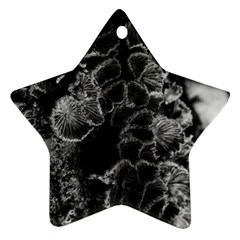 Tree Fungus Branch Vertical High Contrast Star Ornament (two Sides) by okhismakingart