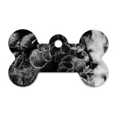 Tree Fungus Branch Vertical High Contrast Dog Tag Bone (two Sides) by okhismakingart