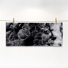 Tree Fungus Branch Vertical High Contrast Hand Towel by okhismakingart